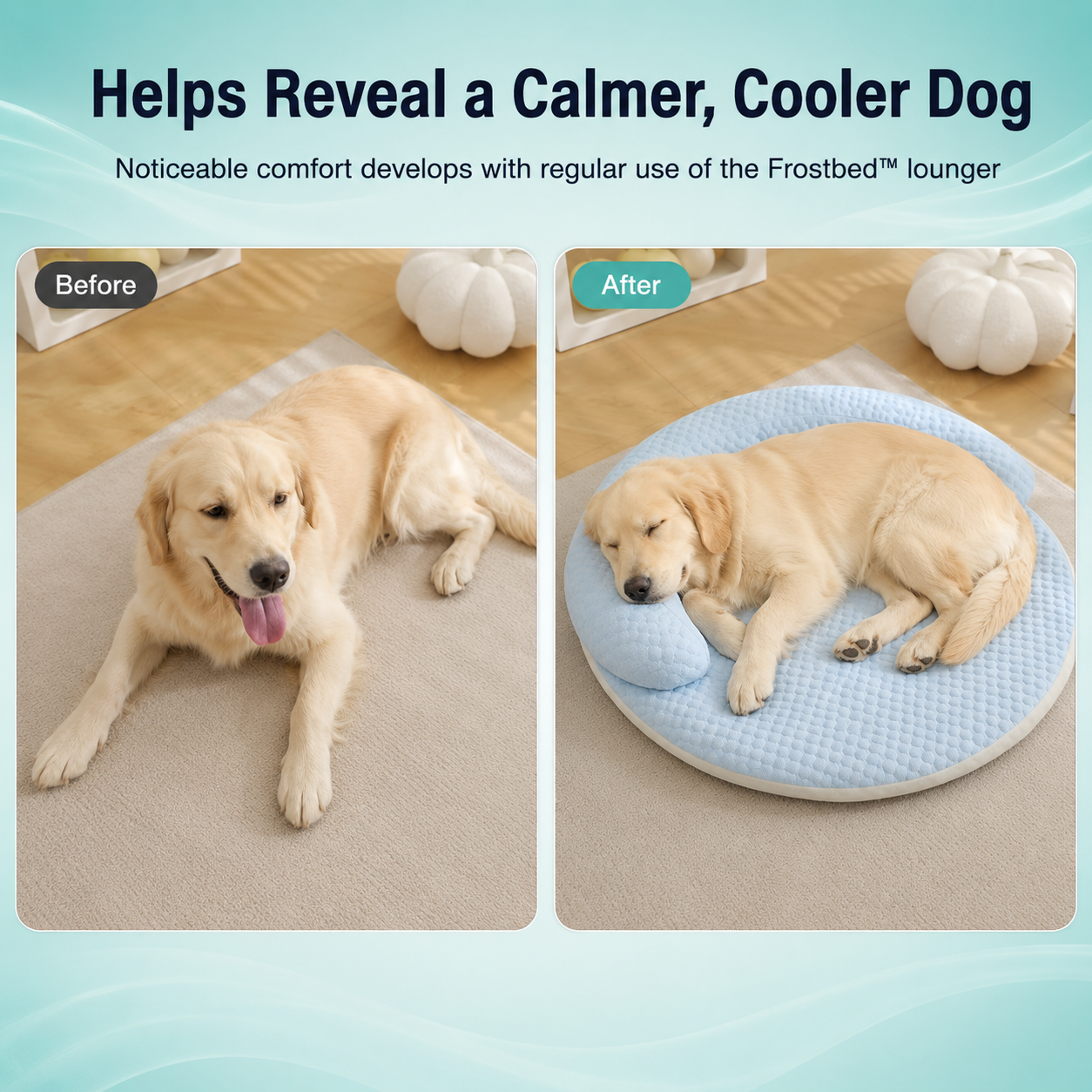 Frostbed™ - Instant Cooling Comfort for Dogs